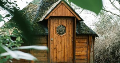 brown wooden house near trees