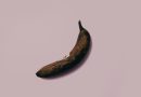 rottende banaan die een slappe penis moet voorstellen